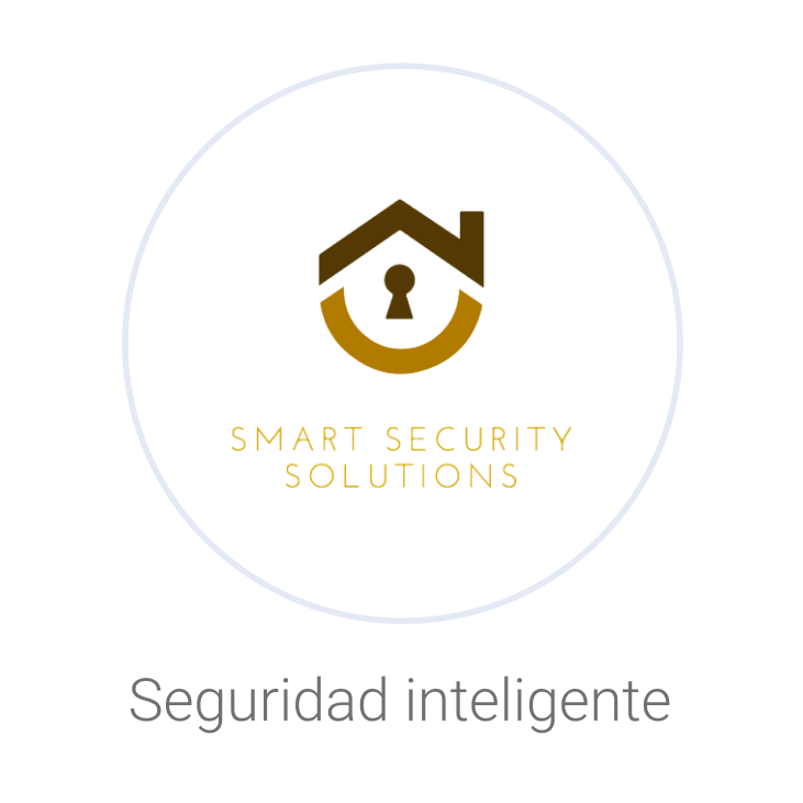 Smart security solutions, seguridad inteligente